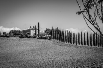 Autumn view with a road with cypress trees, Tuscany, Italy. Black and white travel picture.