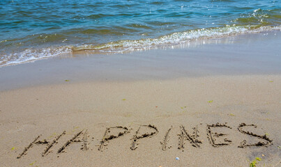 The words Happiness is written in the sand on the beach with a wave washing