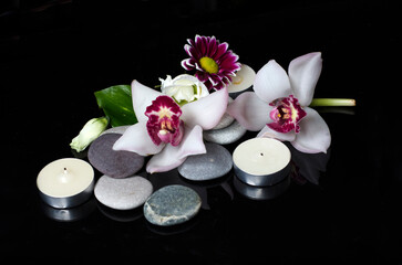 Two orchid flowers, a small bud of white rose and chrysanthemum with gray stones and candles on a black background. Spa composition