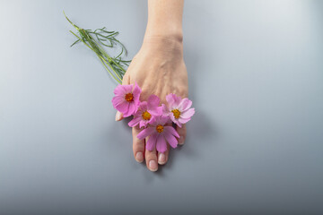Pink flowers in women's hands as a symbol of hand care, manicure
