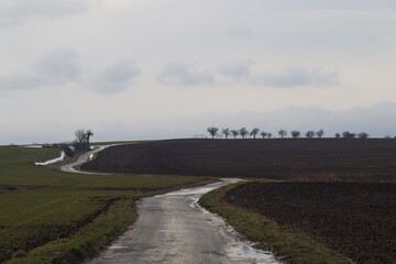 Road between the fields