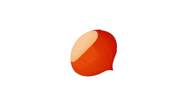 Hazelnuts icon animation best cartoon object on white background