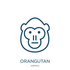 orangutan icon from animals collection. Thin linear orangutan, monkey, cute outline icon isolated on white background. Line vector orangutan sign, symbol for web and mobile © IconArt