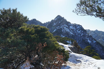 snow covered mountains