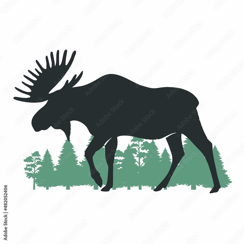 Wall mural elk. vector drawing