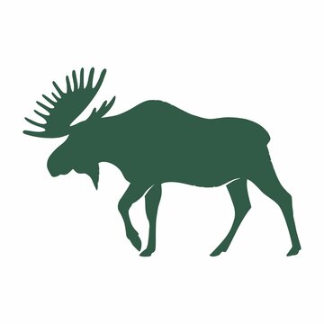 Elk. Vector drawing