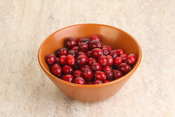 Ripe sweet tasty cranberry in the bowl