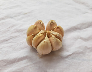 garlic on a white background