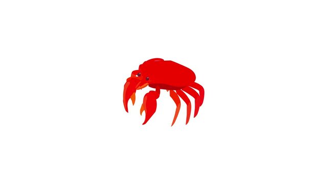 Red crab icon animation best cartoon object on white background