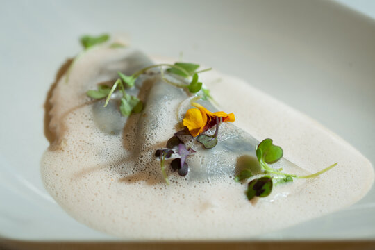 「Chipiron」の画像 322 件の Stock 写真、ベクターおよびビデオ Adobe Stock