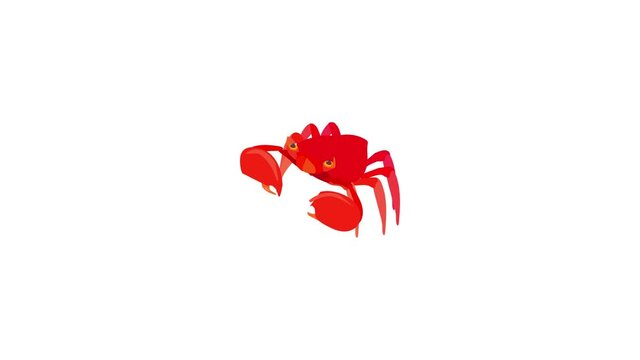 Sea crab icon animation best cartoon object on white background