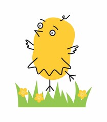 Cartoon yellow chicken on the grass. Easter chick in a skirt on field. Line art. Vector illustration.