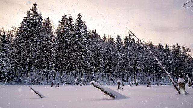 beautiful winter landscape, movement of the camera to the left over the lake. beautiful snowfall