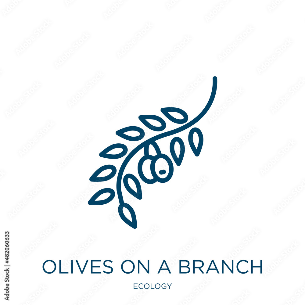 Poster olives on a branch icon from ecology collection. thin linear olives on a branch, branch, olive outli