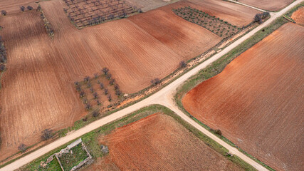 Planted field plots with dirt road. Concept of agriculture