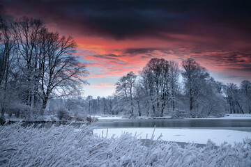 Krajobraz zimowy w parku, kolorowe niebo - obrazy, fototapety, plakaty