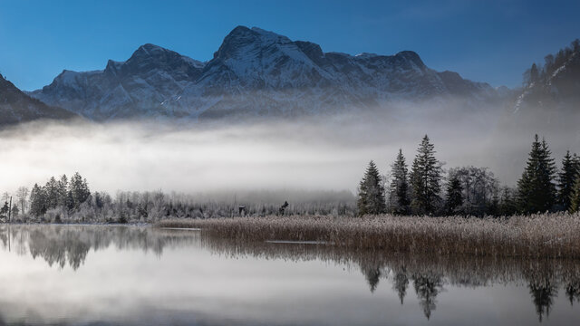 Morgenstimmung beim Almsee 2
