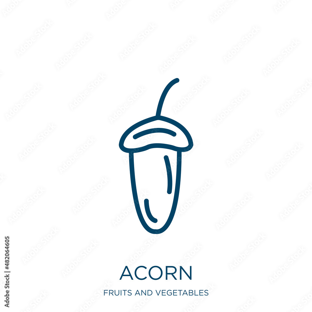 Poster acorn icon from fruits and vegetables collection. thin linear acorn, forest, nature outline icon iso