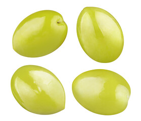 Collection of delicious olives, isolated on white background