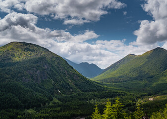 Fototapeta premium landscape with sky