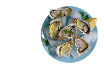 plate with oysters and lemon isolated on white background