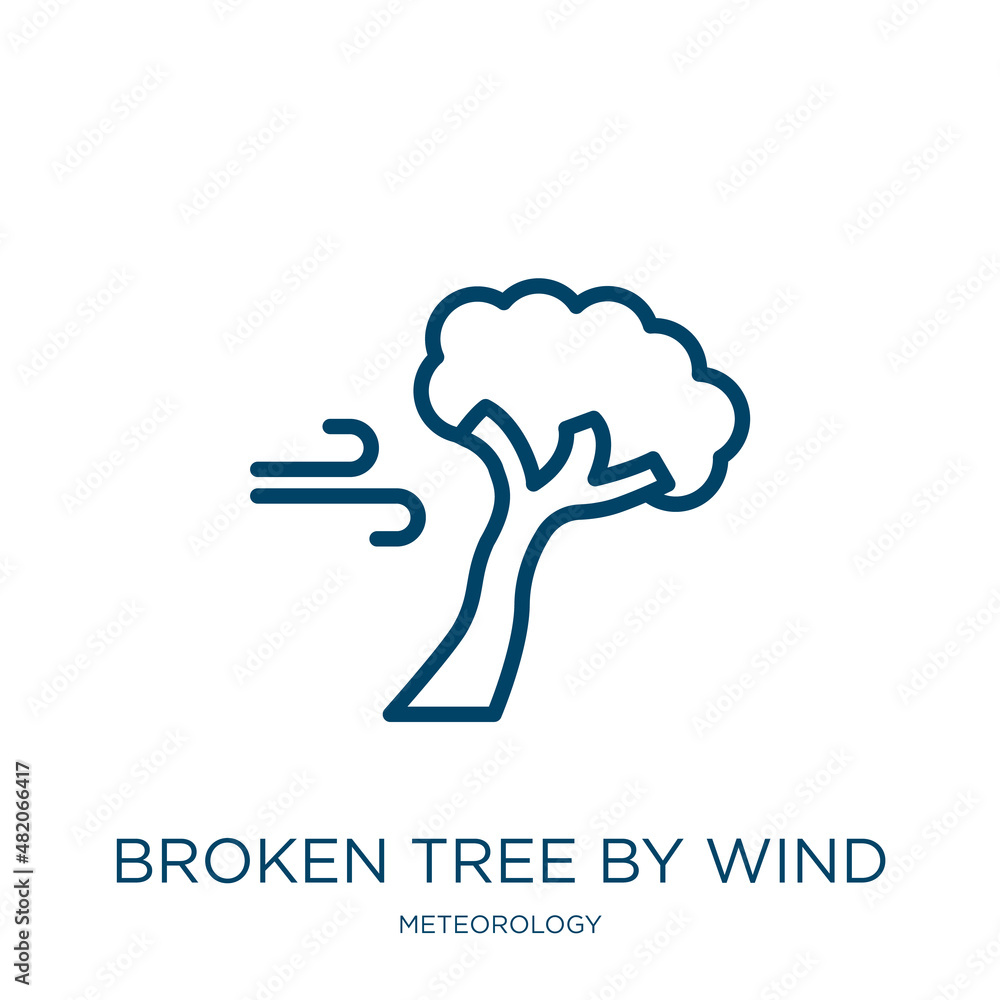 Poster broken tree by wind icon from meteorology collection. thin linear broken tree by wind, thunder, hous