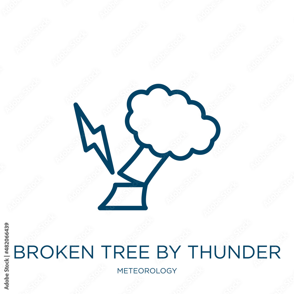 Poster broken tree by thunder icon from meteorology collection. thin linear broken tree by thunder, insuran