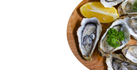 plate with oysters and lemon isolated on white background