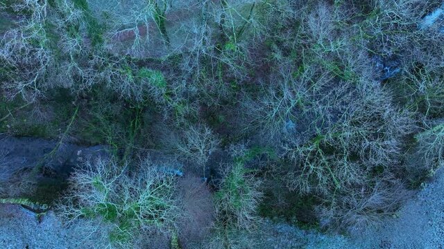 Winter landscape of forests and Pasiega cabins in the Pisue&ntilde;a River Valley. Pasiegos Valleys, Cantabria, Spain, Europe