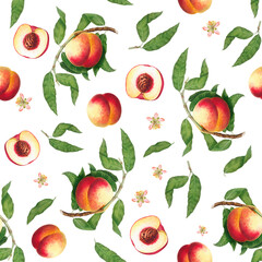 Seamless pattern with peach fruits, blossom and green leaves on white background, vintage botanical wallpaper