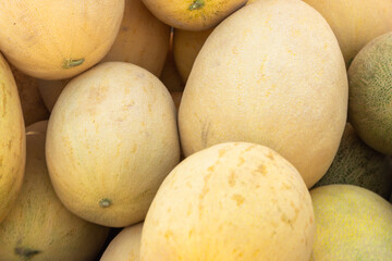 Yellow melons. Sale of melons in the market.