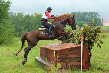 Three day event rider taking part in the cross country Phase
