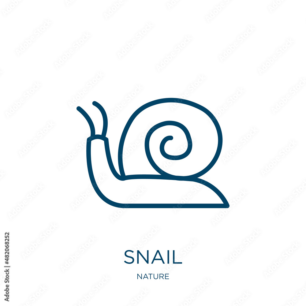 Poster snail icon from nature collection. thin linear snail, animal, helix outline icon isolated on white b