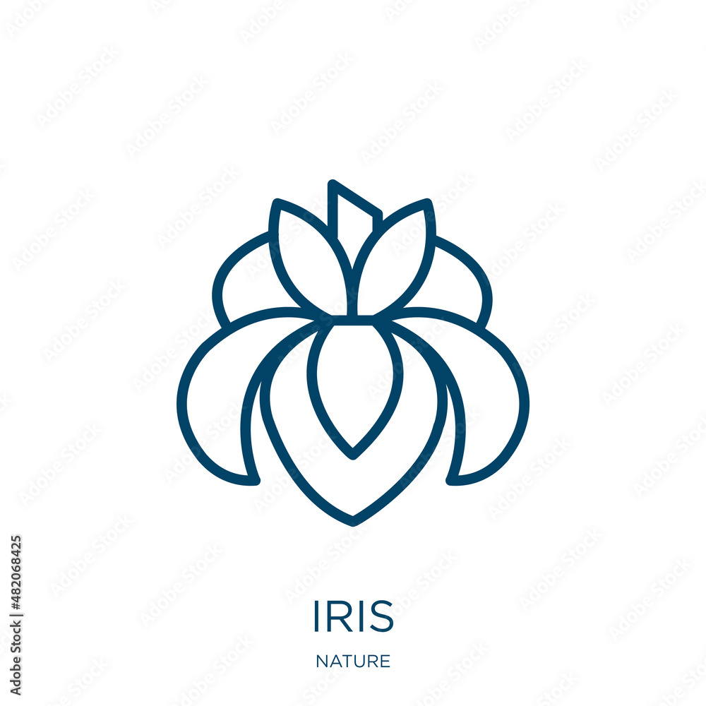 Poster iris icon from nature collection. thin linear iris, eyesight, simple outline icon isolated on white 
