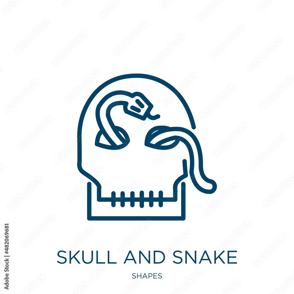 Poster skull and snake icon from shapes collection. thin linear skull and snake, snake, skull outline icon 