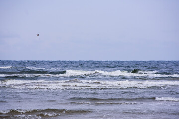 Selective focus photo. Waves in the sea.