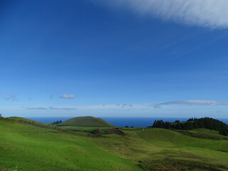 Fototapeta na wymiar Azores travel destination, green pastures, mountains in the background.
