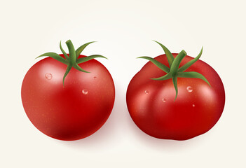 A set of tomatoes. Collection of red tomatoes. Photorealistic vector tomatoes on a white background.
Vector illustration