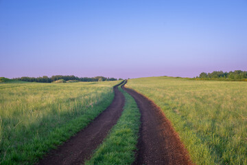 The road across the field, on the ground. Summer Landscape.