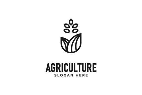 Modern agriculture leaf logo design vector template