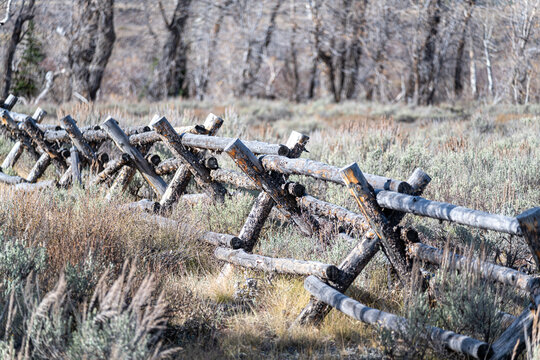 rustic wood fence in brushy field