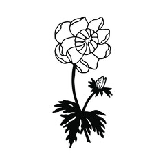 Spring flowers, Frying, Lights. Vector stock illustration eps10. Isolate on white background, outline, hand drawing.