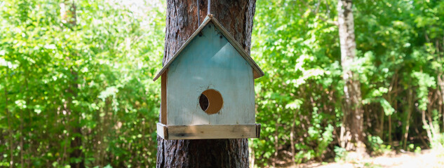 Homemade bird feeder in the form of a tree house in the park, forest.