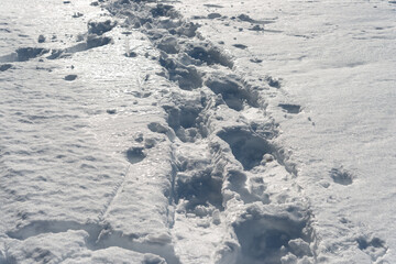 Fototapeta na wymiar footsteps in snow