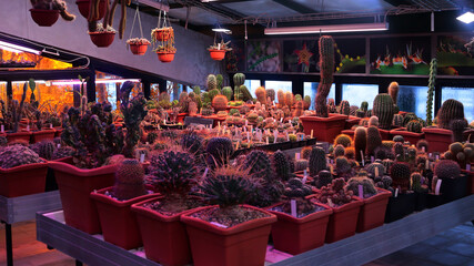 summer layout with place for text 