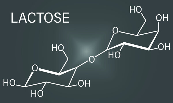 Lactose milk sugar molecule. Skeletal formula.