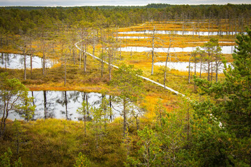 path, viru bog, estonia, lahemaa national park, baltics, baltic countries, europe