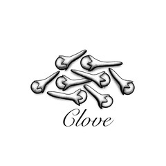 Clove monochrome illustration. Healthy spice cooking ingredient.