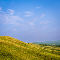 Obraz premium Yellow field and hills with blue sky.