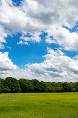 Summer sky clouds